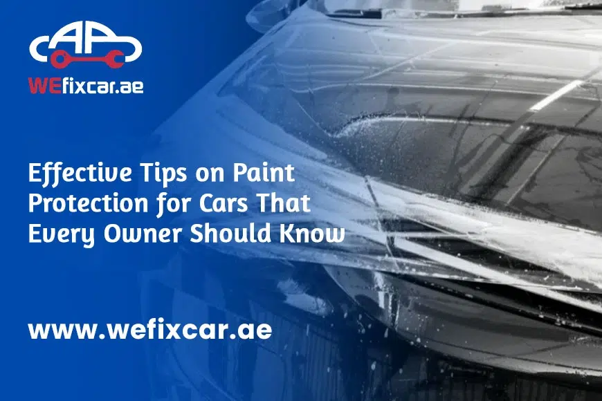 Tips on Paint Protection